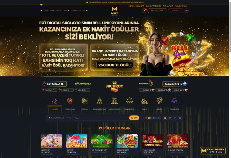 MaltCasino ekran görüntüsü